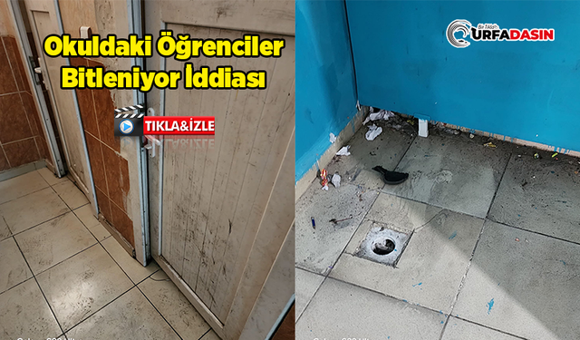 Şanlıurfa’da Okulun Kir ve Pislik İçindeki İçler Acısı Hali Tepki Çekti