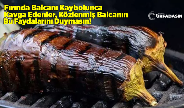 Patlıcanı Közleyince Faydası 10 Katına Çıkıyor