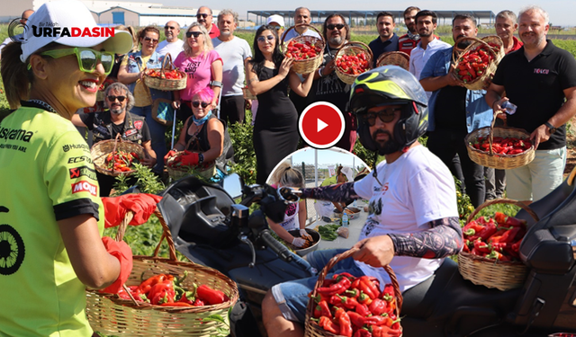 Motosikletçiler Urfa’da İsot Toplayıp Çiğköfte Yoğurdu