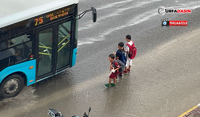 Aniden Bastıran Sağanak Urfalıları Hazırlıksız Yakaladı