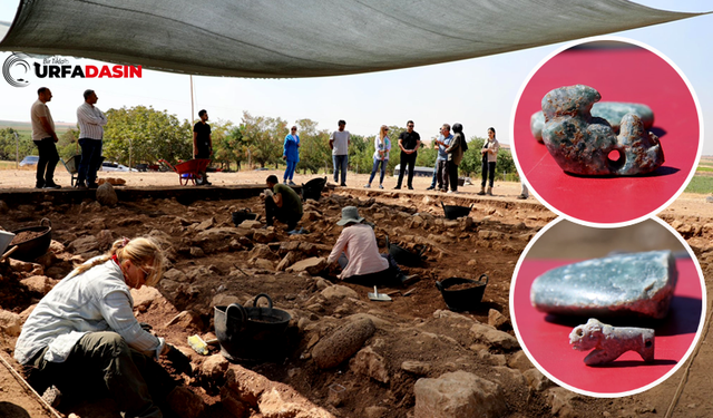 Viranşehir Sefertepe'de 10 Bin Yıl Öncesine Ait İki Süs Eşyası Bulundu