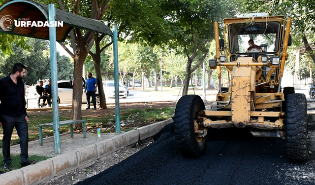 Siverek'in İçinde Alışılmışın Dışında Bir Çalışma Var