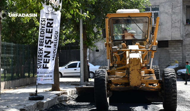 Siverek Belediyesi Yollardaki Bakım ve Onarım Çalışmalarını Hızlandırıldı