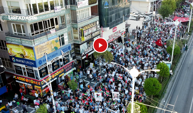 Urfa'da Aksa Tufanın Birinci Yılında İsrail'e Lanet Filistin'e Destek Yürüyüşü