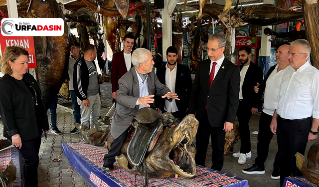 Urfa Milletvekili Dusak,Balık Müzesi'ni Ziyaret Etti,Balık Önerisinde Buludu