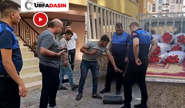 Urfa'da Sokak Satıcılarının Terazi Hilesini Zabıta Yakaladı