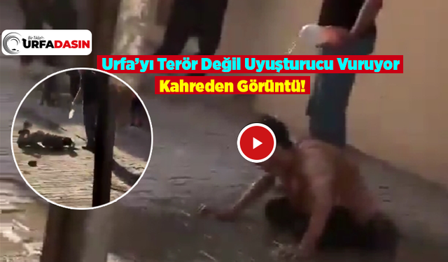 Burası Urfa! Bu Şehir Uyuşturucudan Her Geçen Gün Zombileşiyor