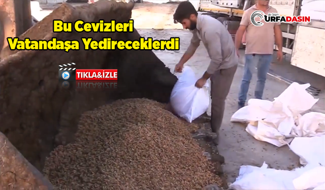 Akçakale Sınır Kapısında İnsan Sağlığına Zararlı 79 Ton Ceviz Ele Geçirildi