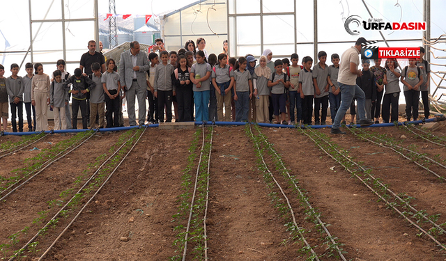 Şanlıurfa Büyükşehir Belediyesi’nden Doğa Kardeşliği Projesi