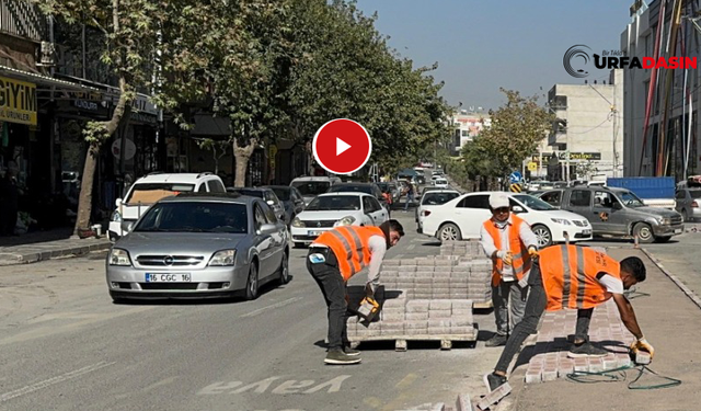 Şanlıurfa’da Şehir İçi Ulaşımda Kalıcı Çözümler Şart