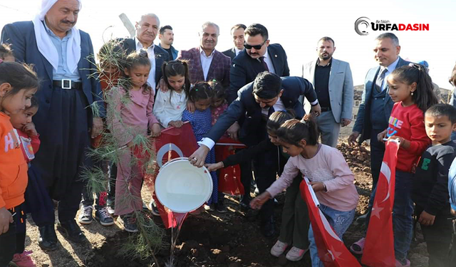 Viranşehir'de Öğrenciler Hem Hediye Aldı Hem Fidan Dikti