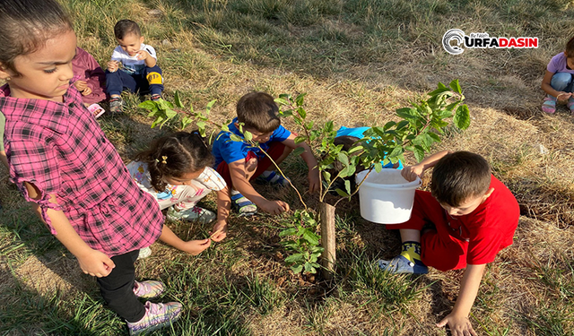 Kur'an Kursu'ndaki Minik Öğrencilere Anlamlı Etkinlik