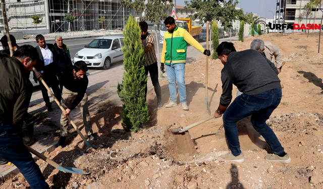 Karaköprü'de Ağaçlandırma Kampanyası Doğukent'te Başladı