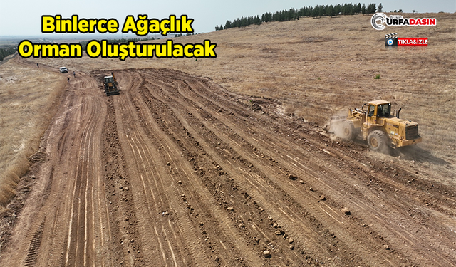 Şanlıurfa'da 100 Dönümlük Hatıra Ormanı İçin Hazırlıklar Başladı