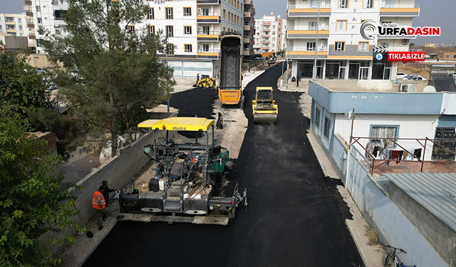 Büyükşehir Belediyesi, Ceylanpınar’da Üstyapı Yatırımlarını Sürdürüyor