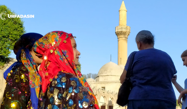 Diyanet Şanlıurfa'daki Cami Sayısyla İlgili Son Verilerini Açıkladı