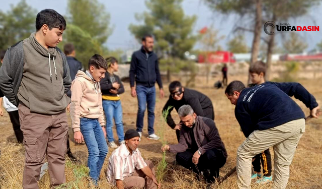 Çocuklar, Viranşehir Müftülüğünün Etkinliğinde Fidan Dikti Eğlendi