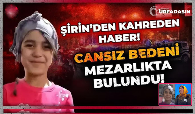 Şanlıurfalı Aile Depremden Sonra İstanbul'a Taşınmıştı Bugün Kahreden Haberle Sarsıldı