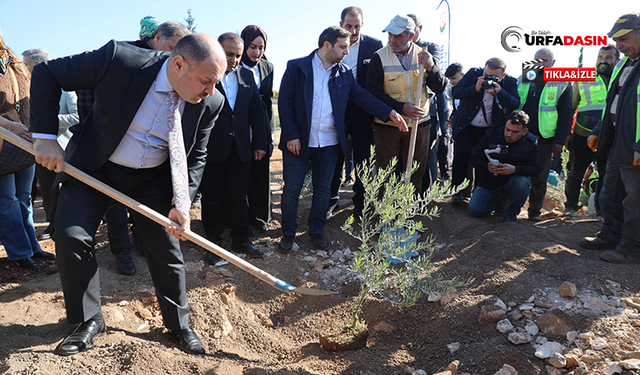 Başkan Gülpınar’dan Çevreye Büyük Yatırım: Hatıra Ormanı Projesi Start Aldı