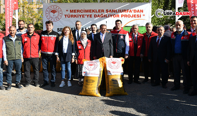 Vali Şıldak, Üreticilere Mercimek Tohumu Dağıttı