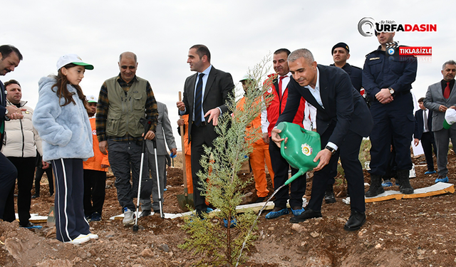 Başkan Vekili Bayram, Milli Ağaçlandırma Günü etkinliğine katıldı