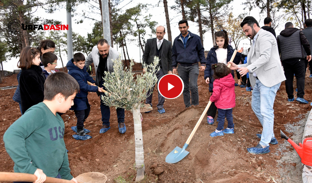 Siverek Kalesine 24 Kasım Öğretmenler Günü Anısına Ağaç Diktiler