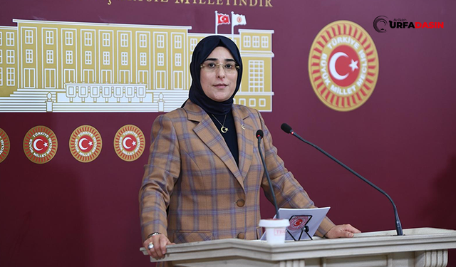 Yazmacı: 'Cumhurbaşkanımız Suriyelilere desteğiyle tüm dünyaya da insanlık dersi verdi'