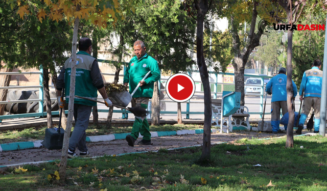 Haliliye Belediyesi’nin Parklarda Hummalı Çalışması Sürüyor