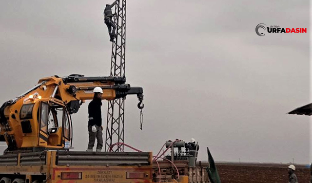 Kış Ortasında Kaçak Elektrikle Buğday Sulayan Çiftçi Yapay Zeka İle Yakalandı