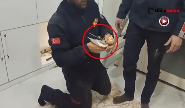 Papağan Vestiyere Sıkıştı, İtfaiye Kurtardı