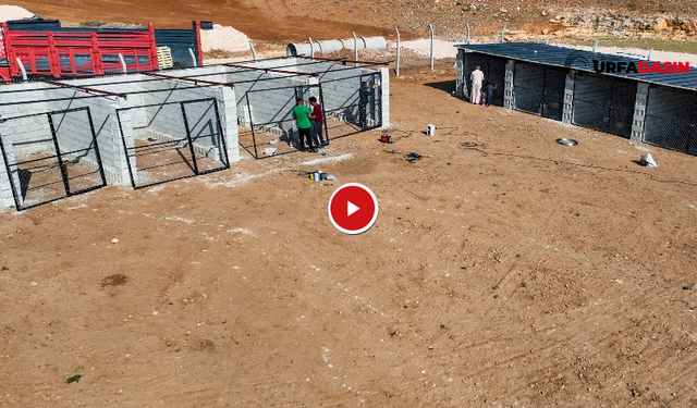 Harran'da Hayvan Barınağı İnşaatında Sona Gelindi