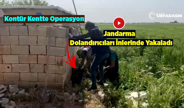 Şanlıurfa'da 5 Kişi Bir Oldu 1 Kişiyi 6 Milyon TL Dolandırdı