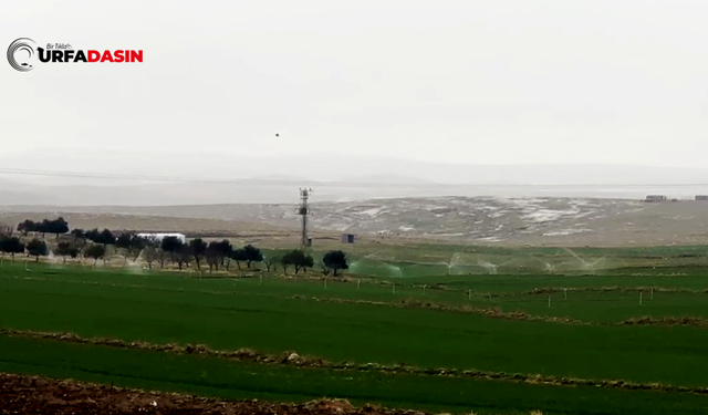 TÜİK'in 2025'teki Genel Tarım Sayım Hazırlıkları Şanlıurfa'da Tamamladı