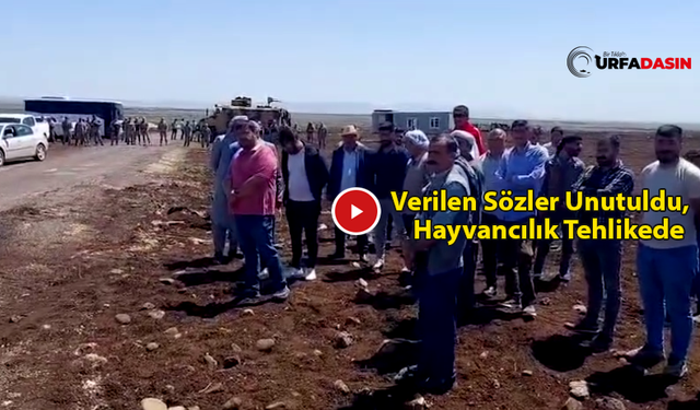 Kalyon Enerji Viranşehir'de Verdiği Sözü Tutmadı İddiası !