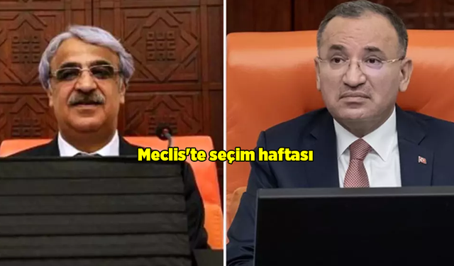 Şanlıurfa'nın İki Milletvekili Meclis Başkanvekili Oluyor