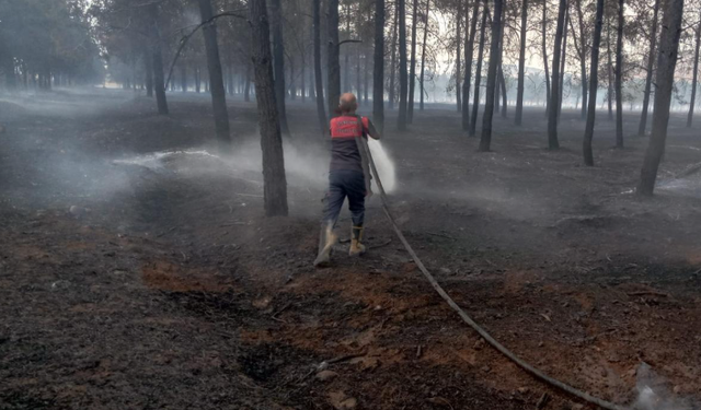 Bozova'daki Orman Yangını Petrol İstasyonuna Sıçramadan Son Anda Söndürüldü