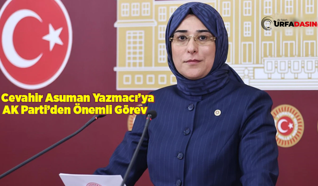 Şanlıurfa'nın Vekili Yazmacı, AK Parti'nin 272 Milletvekili Arasında 21 Kişilik Komisyona Alındı