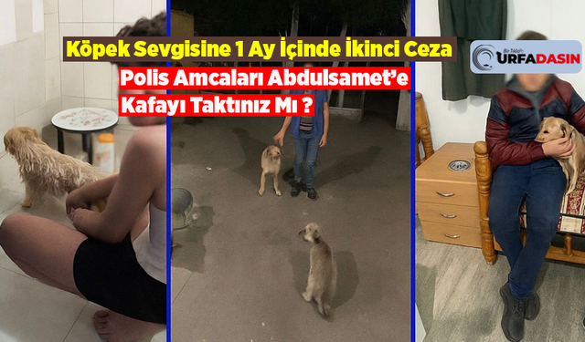 Birecik'te Psikiyatri Tedavisi Gören Çocuğa İkinci Kez Köpek Ceza Kesildi