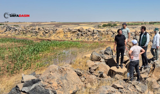 Şanlıurfa'da Sulama Birliklerinde Enerji İçin GES Adımı