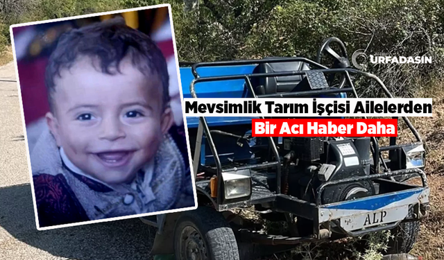 Şanlıurfalı 3 Yaşındaki İsa Ertaş Ailesiyle Isparta'ya Mevsimli İşçisi Olarak Gitti Cenazesi Geldi
