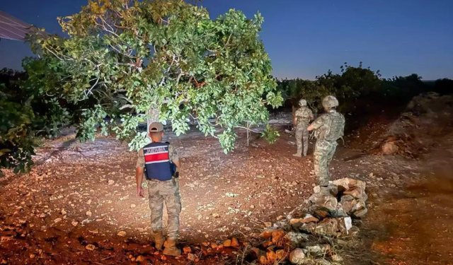 Şanlıurfa'da Fıstık Hasadı Öncesi Önlemler Artırıldı: Komandolar Görev Alacak