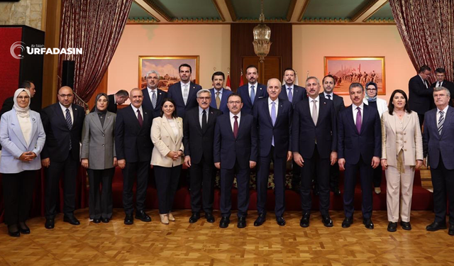 Şanlıurfa'nın Komisyondaki  Tek Vekilinden İlk Değerlendirme