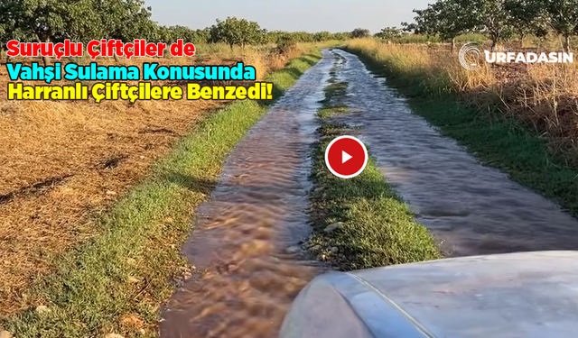 Şanlıurfa’nın Suruç Ovası’nda Drenaj Sorunu Bir Türlü Çözülemedi