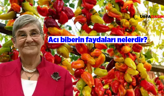 Canan Karatay'a Göre Şanlıurfa'nın Olmazsa Olmazı İsot'un En Sağlıklısı Kurutulmuşu