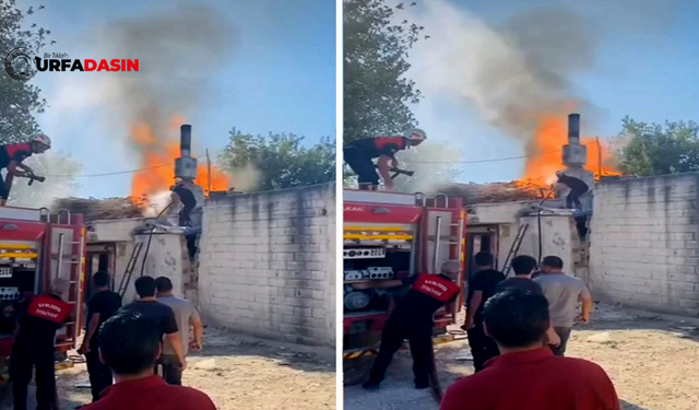 Suruç’ta Fırında Yangın Paniği !