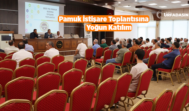 Şanlıurfa'da Pamuk İstişare Toplantısında Pamuk Derneği Kurma Kararı Alındı