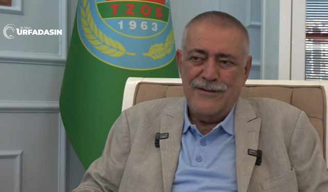 Ahmet Ersin Bucak; Siverek'te Dekar Başına Alınan Pirinç Dünya Ortalamasının Üstünde