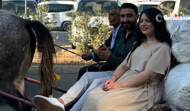 Sırf Sosyal Medyada Paylaşım Yapmak İçin Çeyizi At Arabasıyla Taşıdılar
