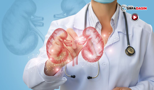 Nefroloji Uzmanından Polikistik Böbrek Hastalığına Karşı Önemli Uyarılar