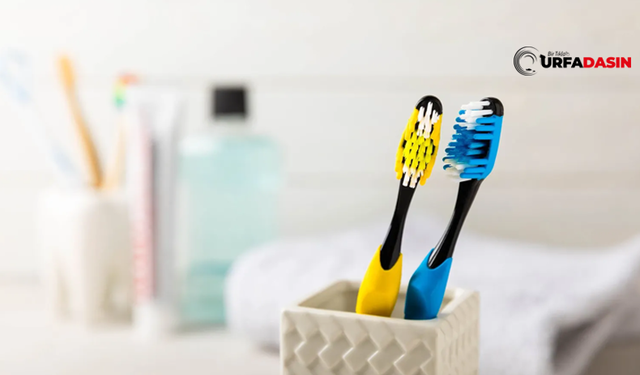 Diş Fırçanızı Ne Kadar Sürede Bir Değiştirmelisiniz?